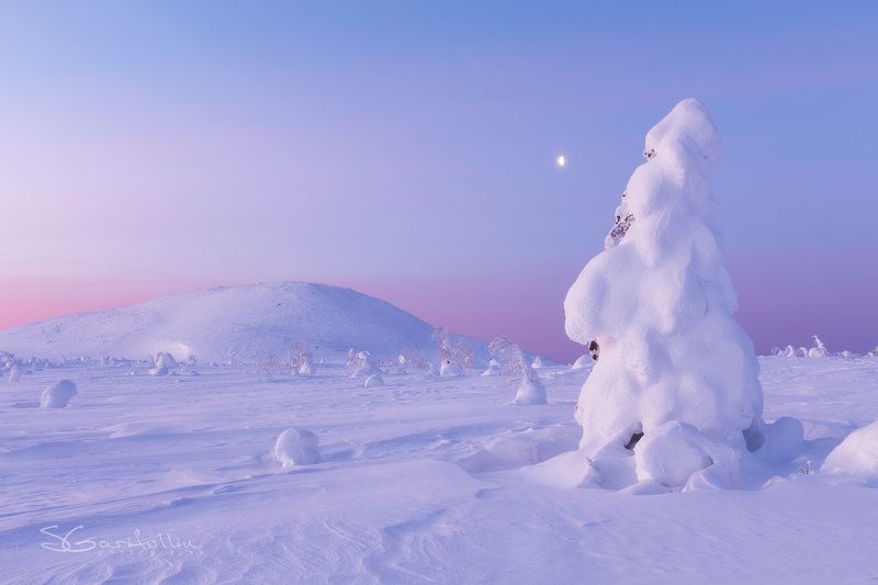Северный Урал, Урал, ГУХ, Главный уральский хребет Северный Урал. Утро.  фото превью
