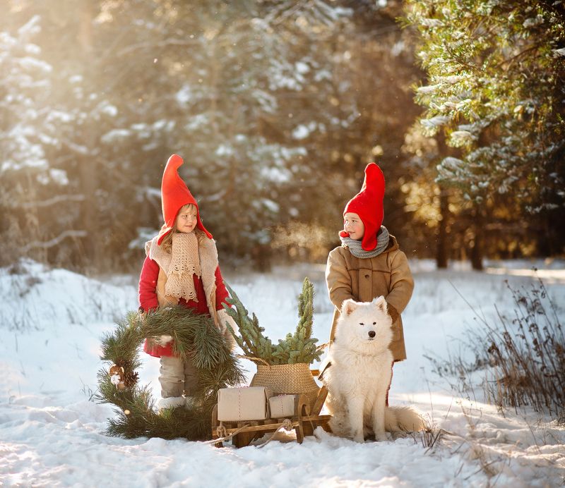 дети, гномики Гномики Санта Клауса фото превью