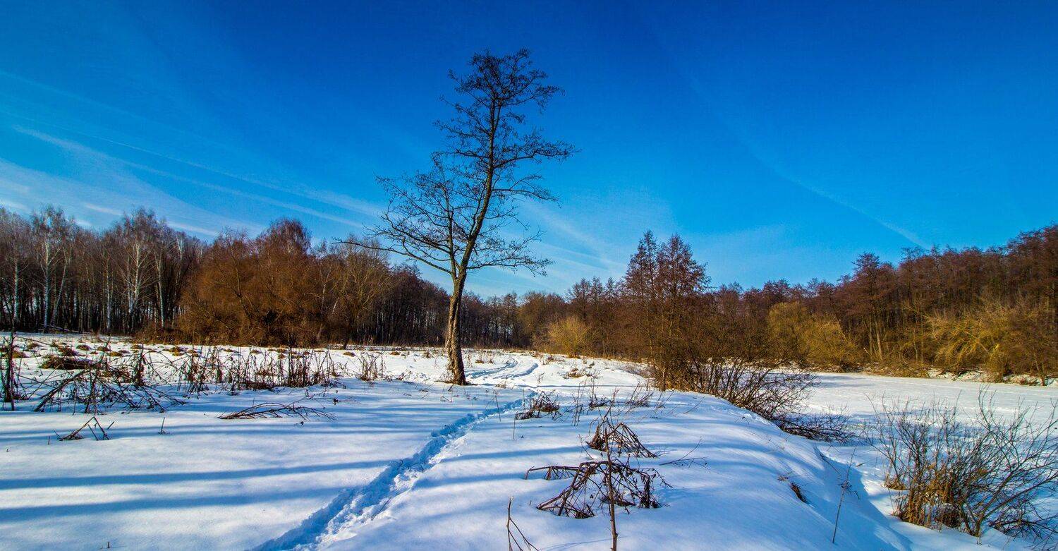 зима, лес, река, усмань, снег, Руслан Востриков