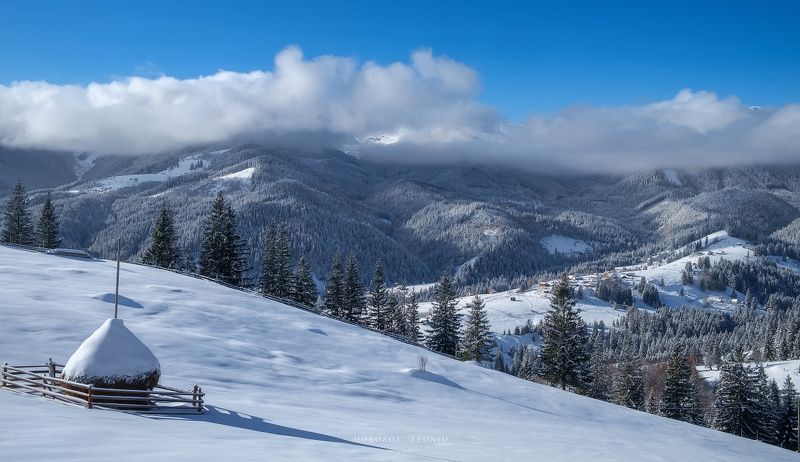#nikon, #underwater, #underwaterphotography, 6x6, landscapes, lelyak, nelumbo, death, nikolasverano, лиза, магритт, рене, портрет, арт-ню, гномики, город, горы, девушка, дети, закат, золотистая, щурка, италия, кошки, красношейная, кыргызстан, лигурия, май *** фото превью