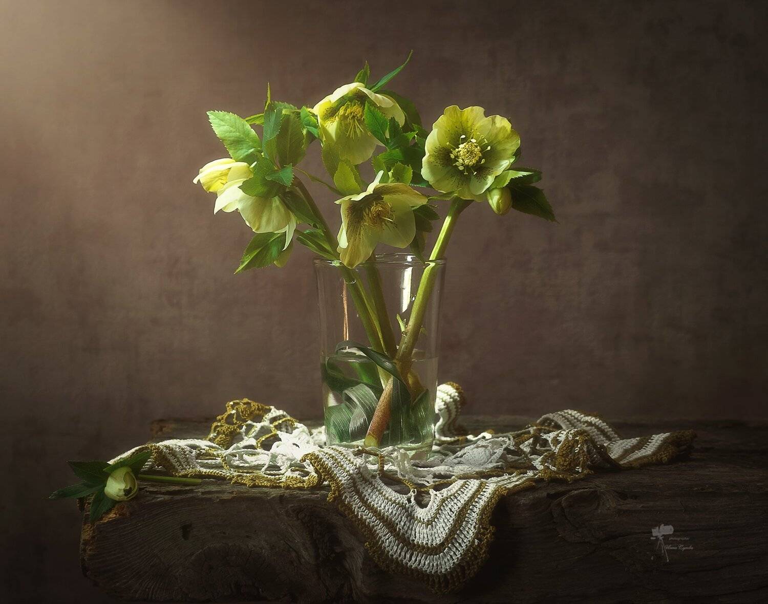 , Инна Сухова