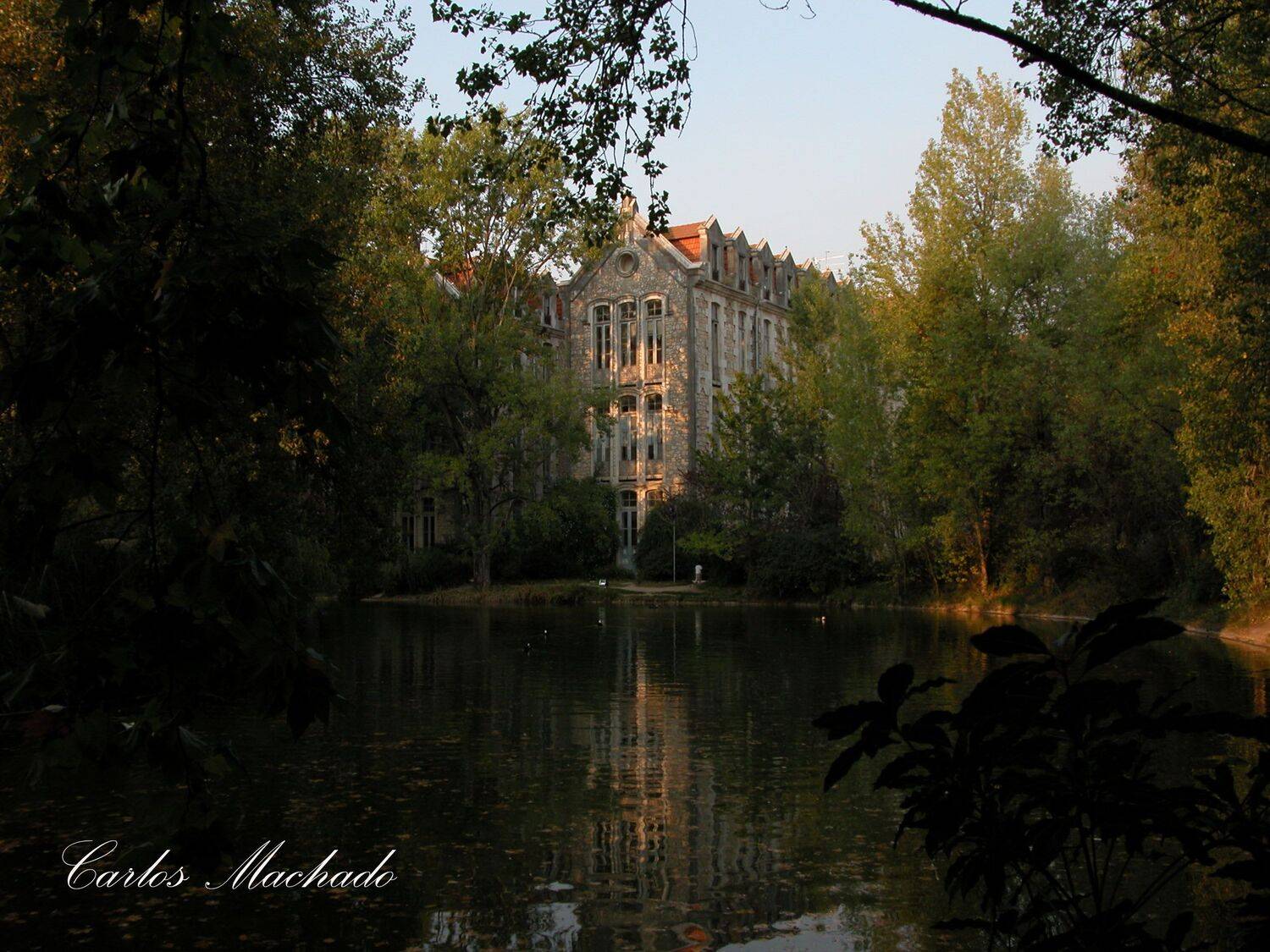 City, Travel, Landscape,, Carlos Machado