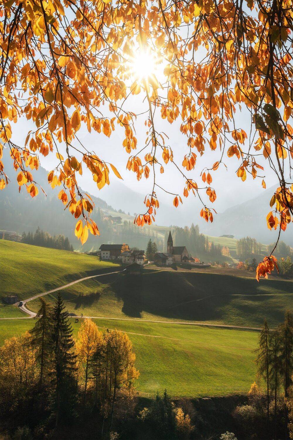 , Михаил Туркеев