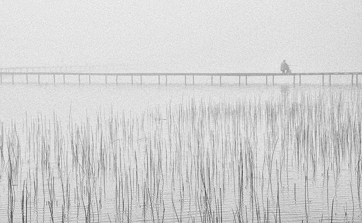 , Елена Лаврова