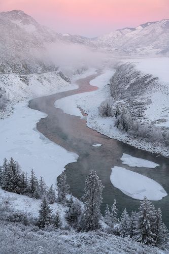 Студёная Катунь
