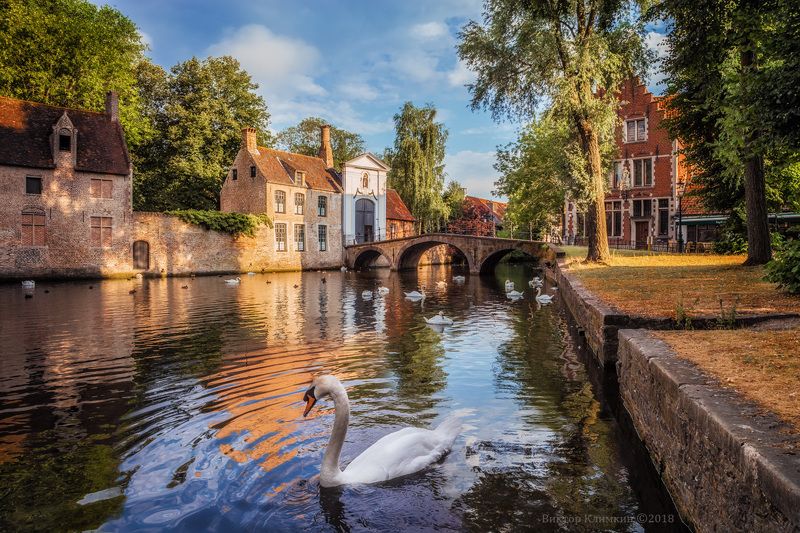 бельгия, брюгге, озеро, лебедь, bruges, brügge, Брюгге. Озеро любви фото превью