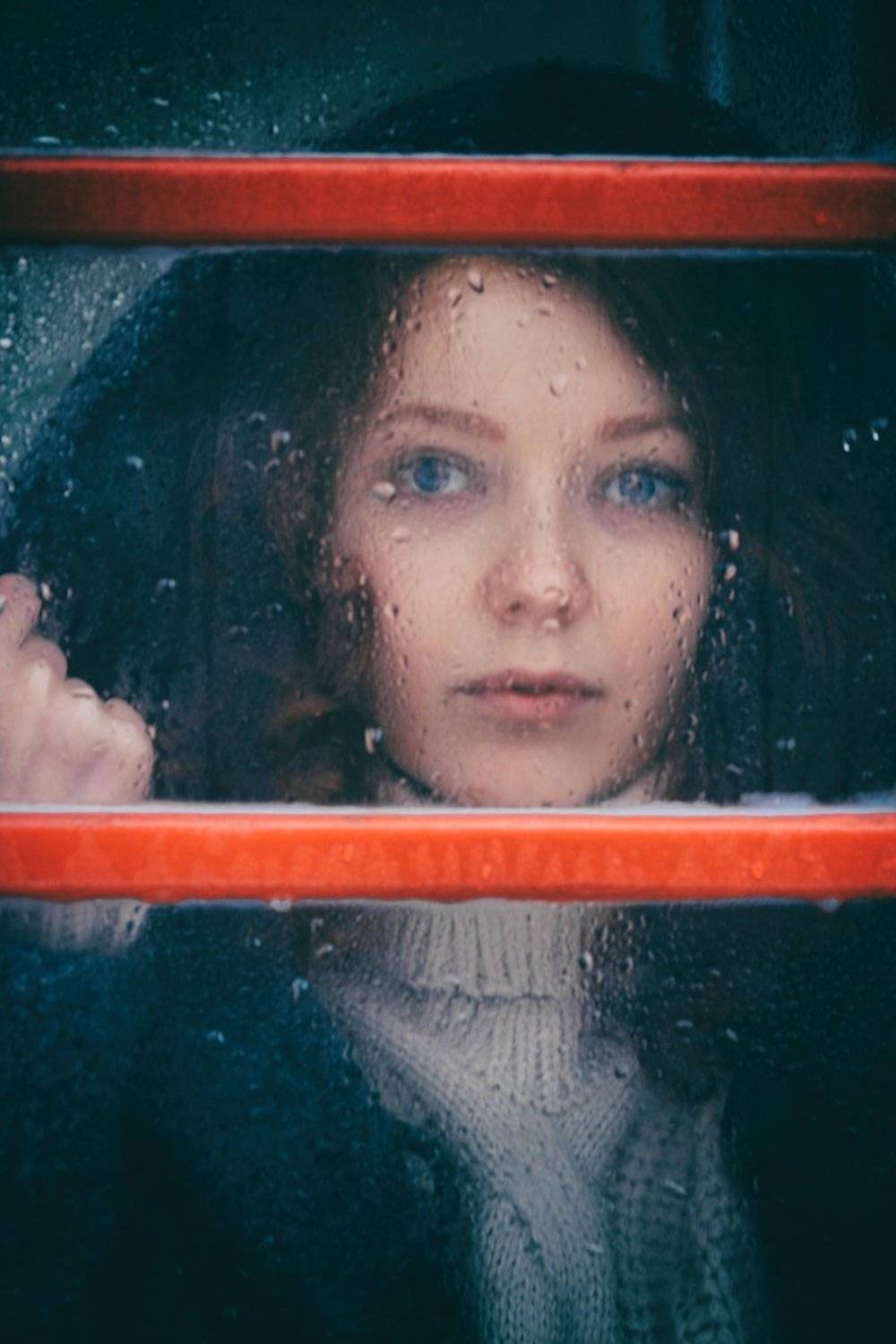 , Владимир Жаворонков