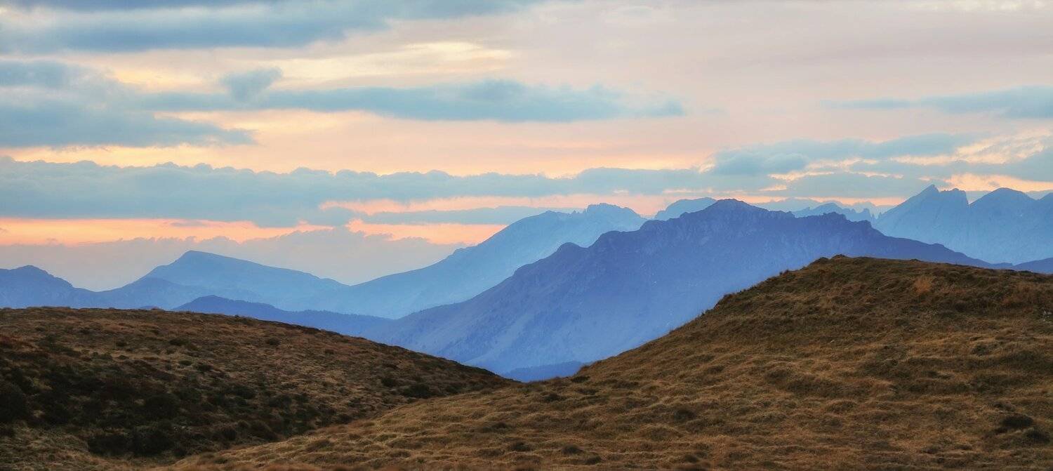 , Игорь Дубровский