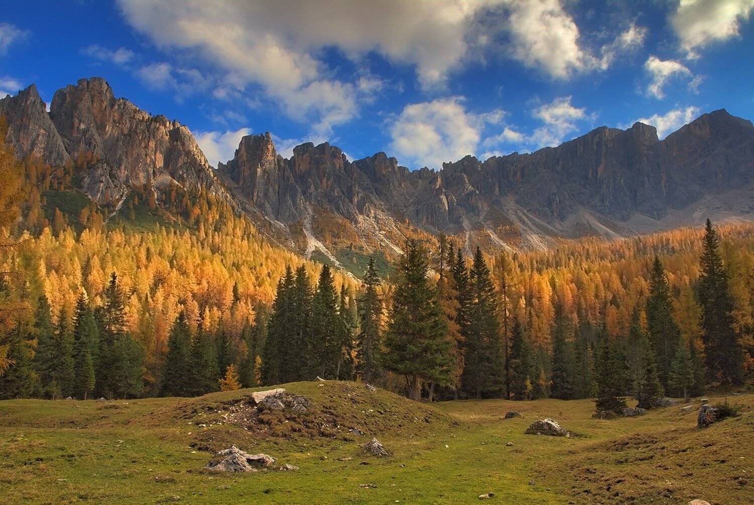 , Игорь Дубровский