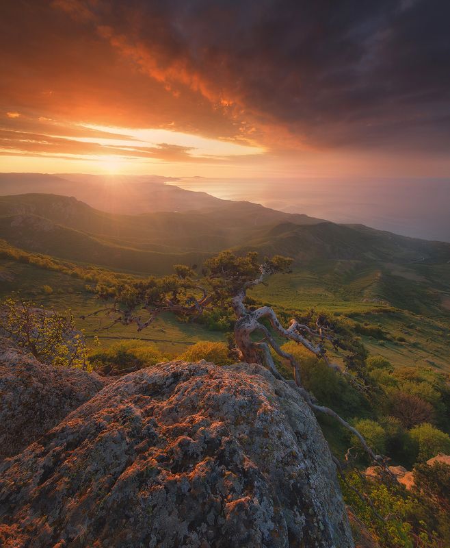 крым, южная демерджи, демерджи Way Of Light фото превью