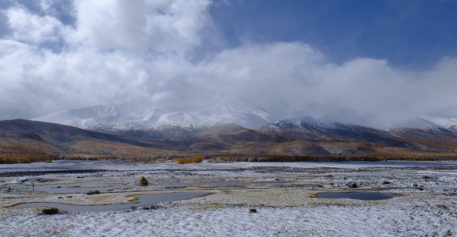 , Ольга Челдыкова