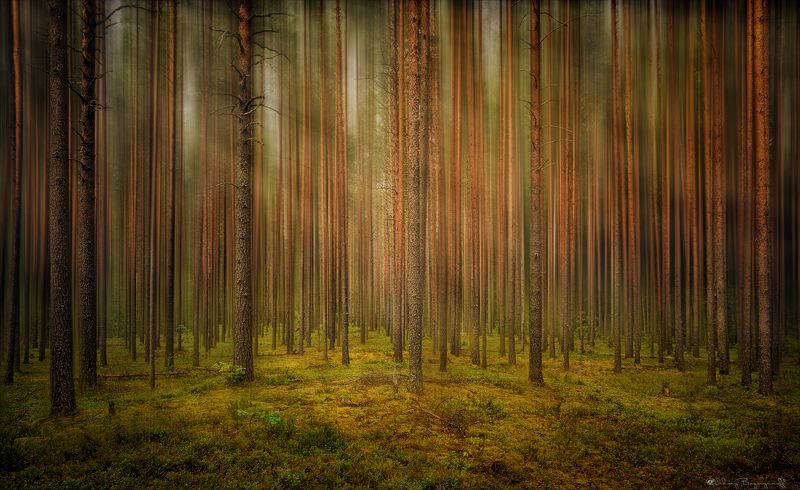 Штрих код. фото превью