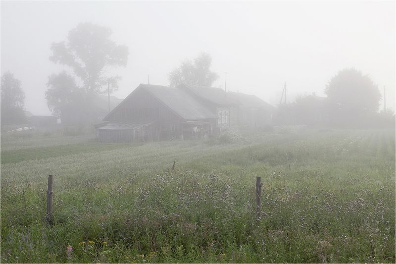 лето, туман, утро, огород, дом, сарай, Лето, утро и туман. фото превью