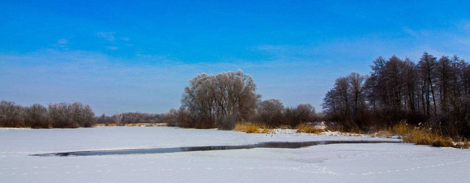 лес, ольха, река, зима, иней, усмань, деревья, снег, вода, Руслан Востриков