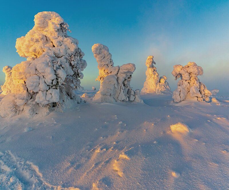 Снежные фигуры в парке Riisitunturi -1.