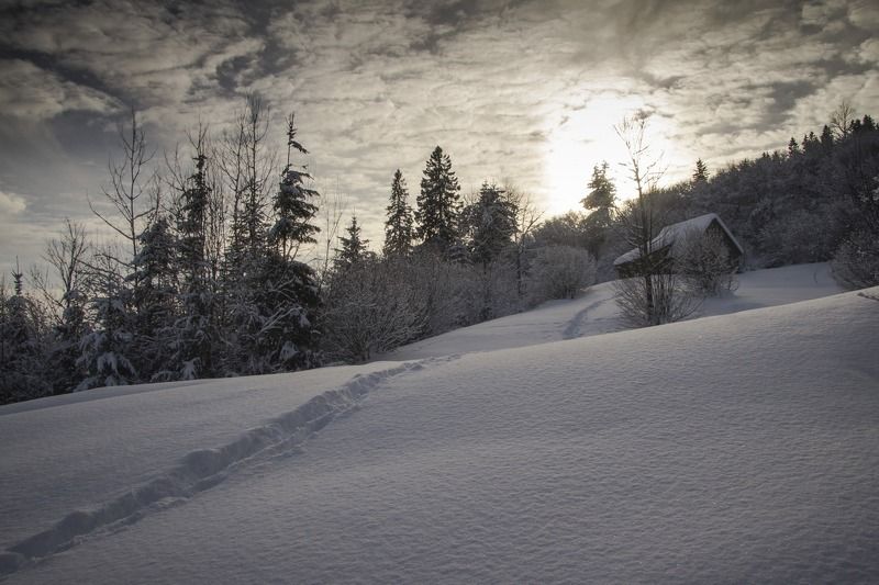 вечер, снег, зима, закат, облака *** фото превью