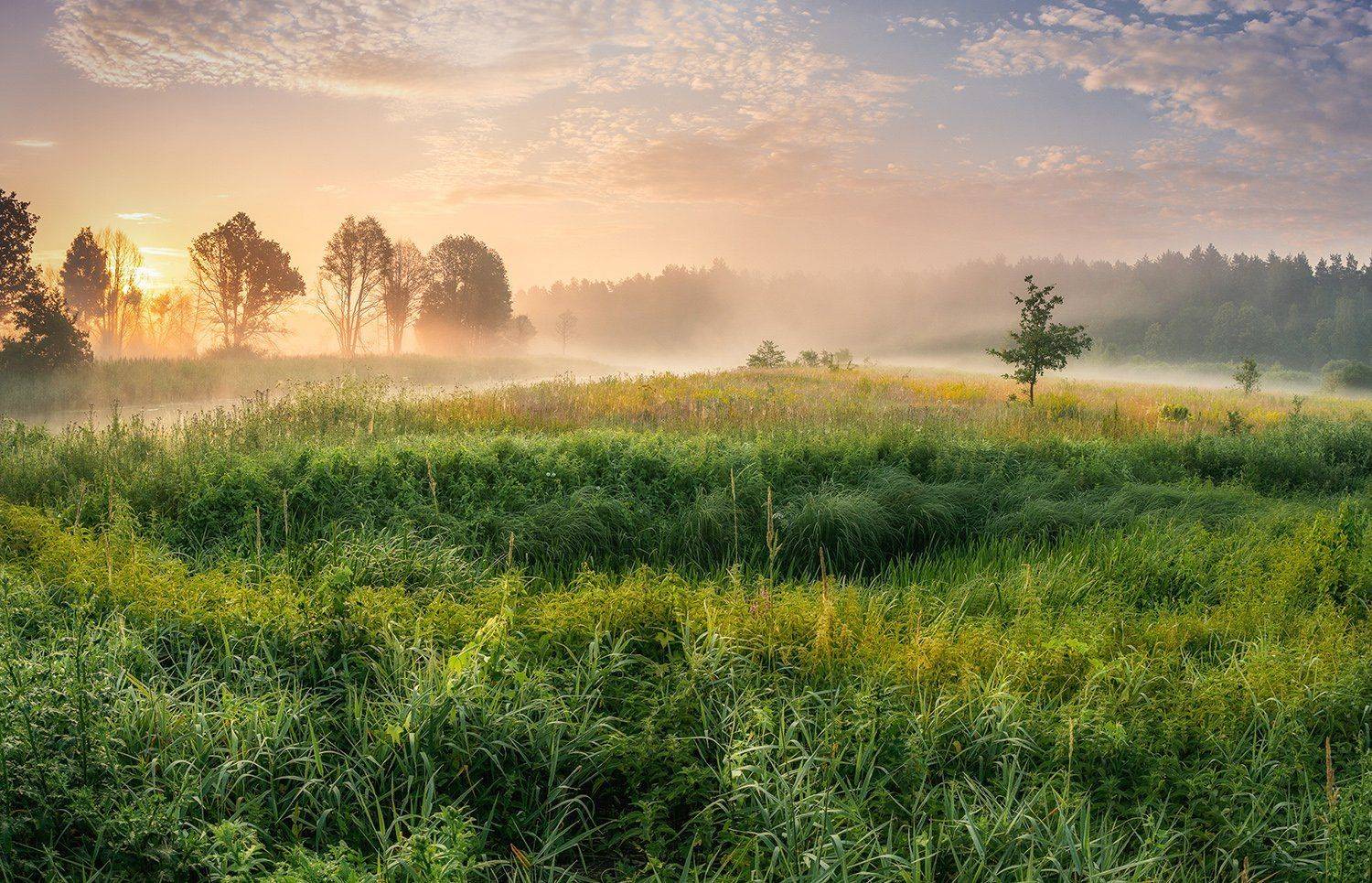 , Kantsyrenko Sergey