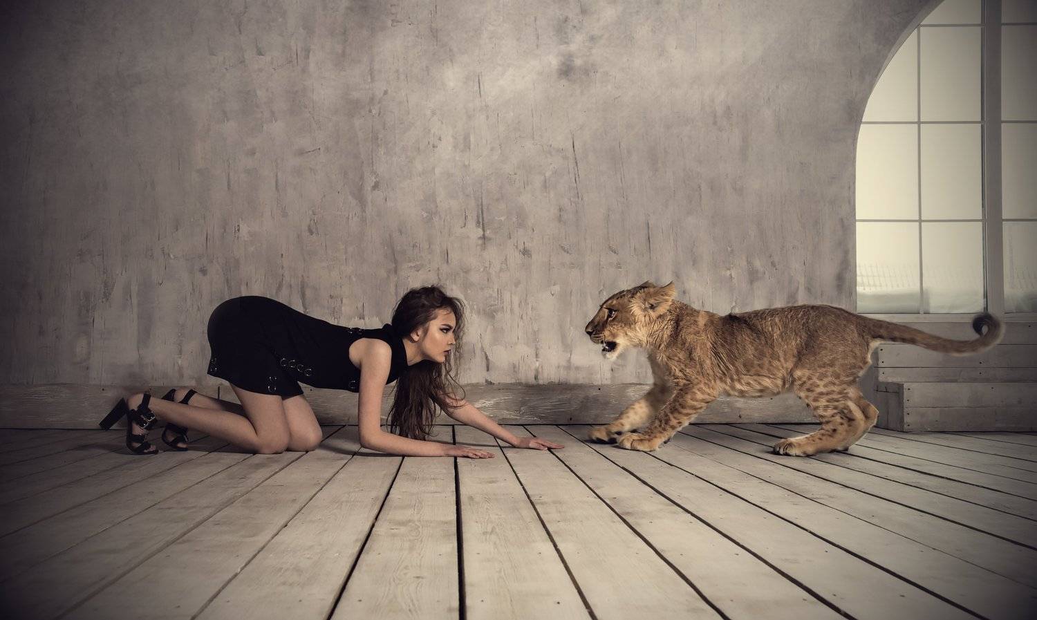 портрет, девушка, модель, студия, fashion, portrait, model, girl, photomodel, studio, lion, львёнок, лев, Ogneva Olli