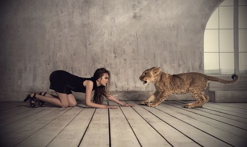 Кто испугается первый ?