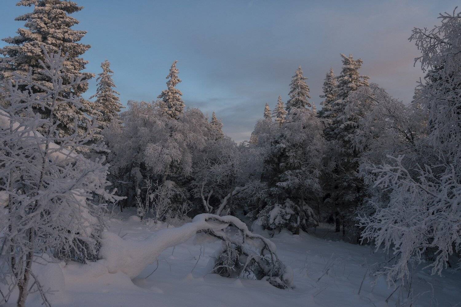 , Андрей Шарапов