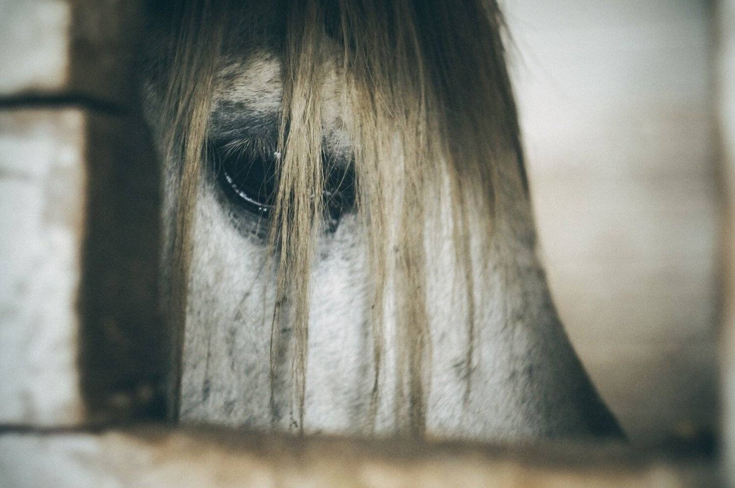 , Ольга Серёдкина