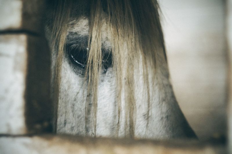 Где ты,душа моя.... фото превью