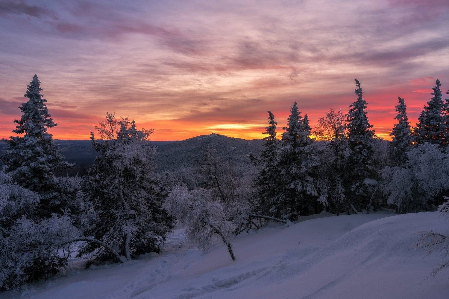 , Андрей Шарапов