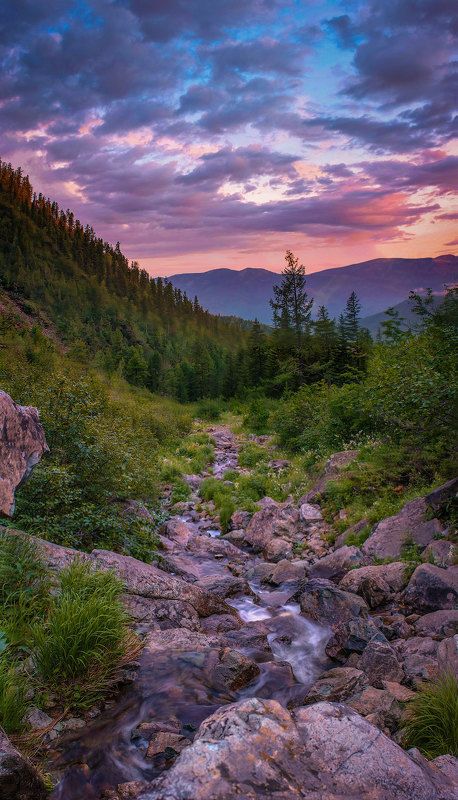 хакасия,вечер,закат,ручей,горы,борус,поход Вечер у звонкого ручья. фото превью