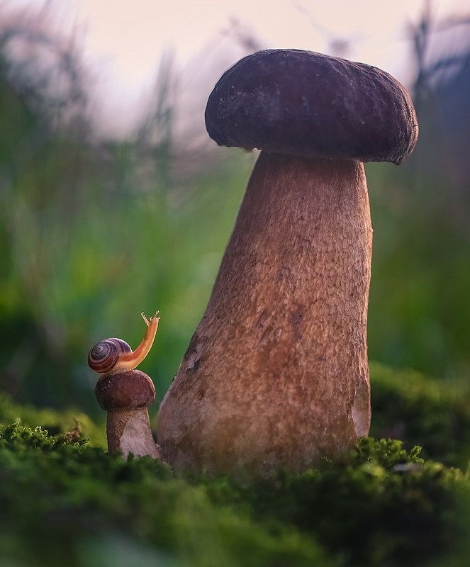 У каждого из нас свой Вавилон фото превью