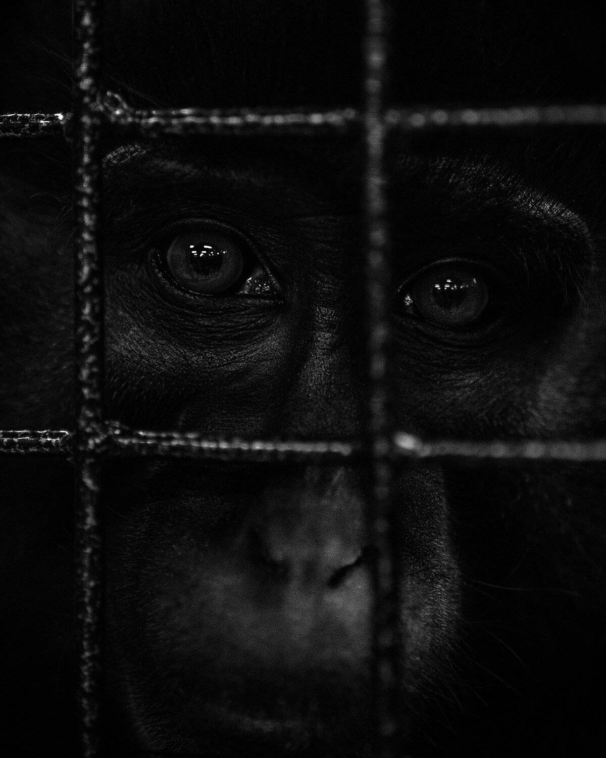 , Сергей Скоробогатов