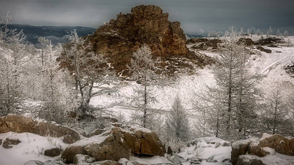 , Сергей Низовцев