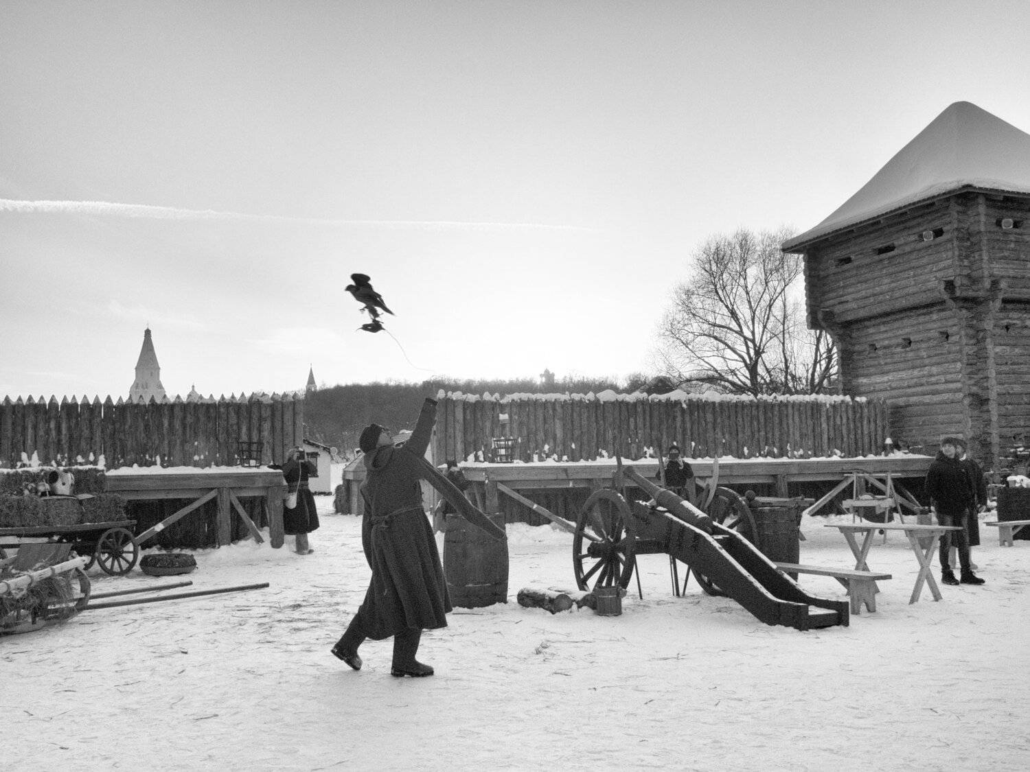 Falconry, Moscow, Russia, Black and white, Park, Winter, Elena Beregatnova