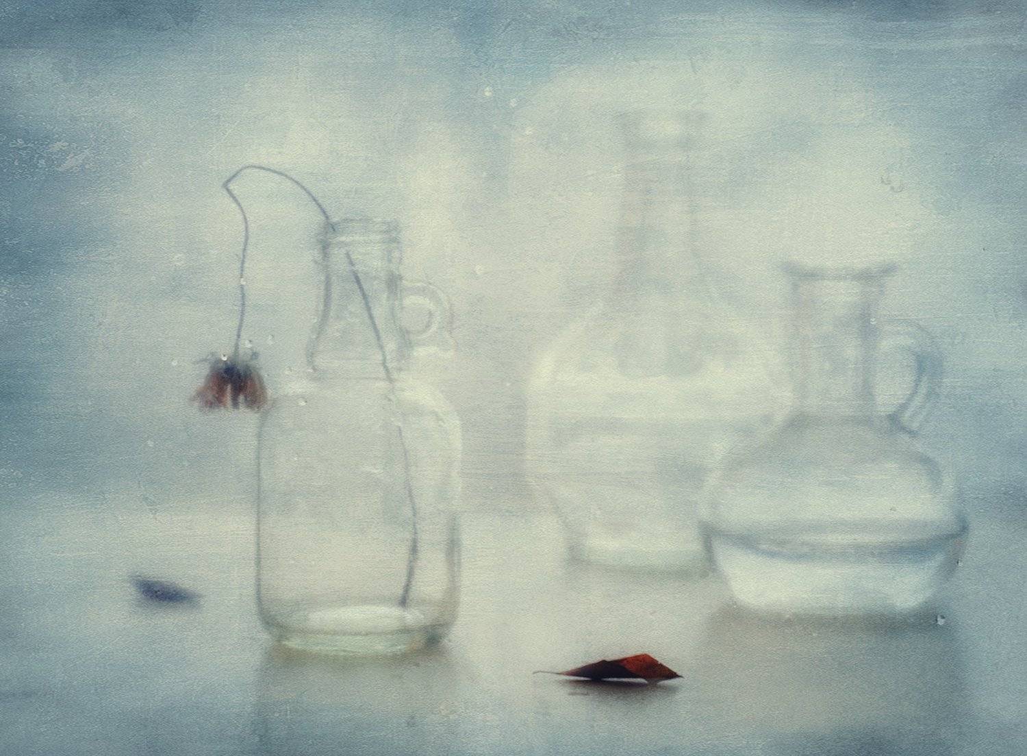 натюрморт,стекло, Наталия К