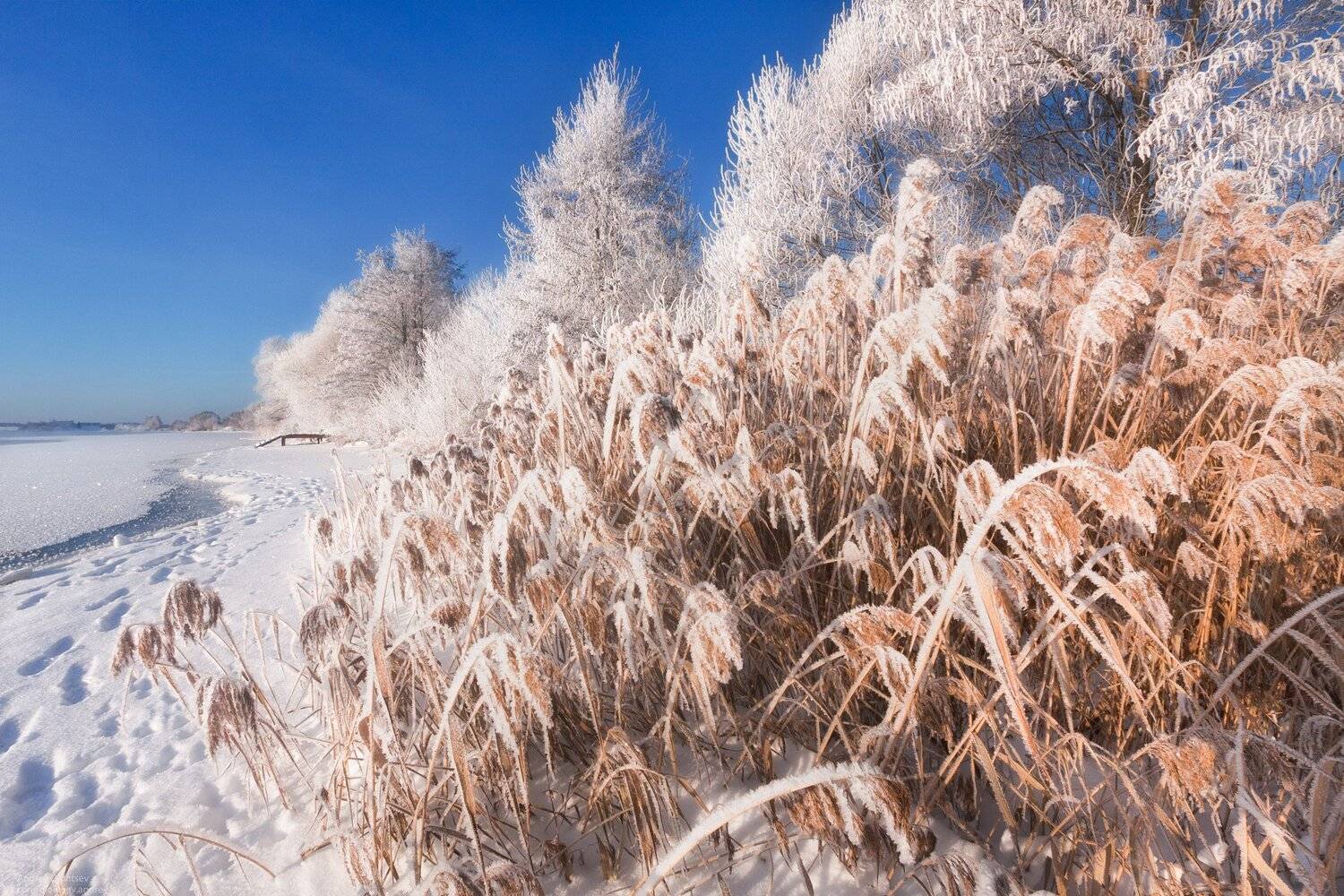солнце, россия, рассвет, природа, подмосковье, погода, пейзажи, пейзаж, отражение, наукоград, красота, дубна, вода, весна, weather, water, spring, russia, reflection, naukograd, nature, moscow, landscape, dawn, canon dubna, beauty, Андрей Олонцев