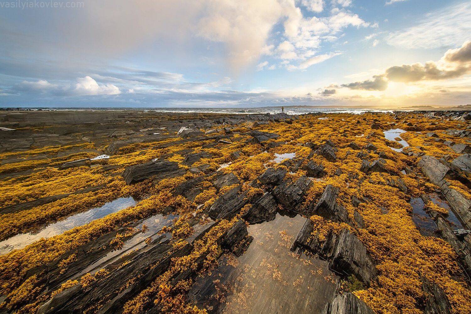 рыбачий, кольский, Василий Яковлев