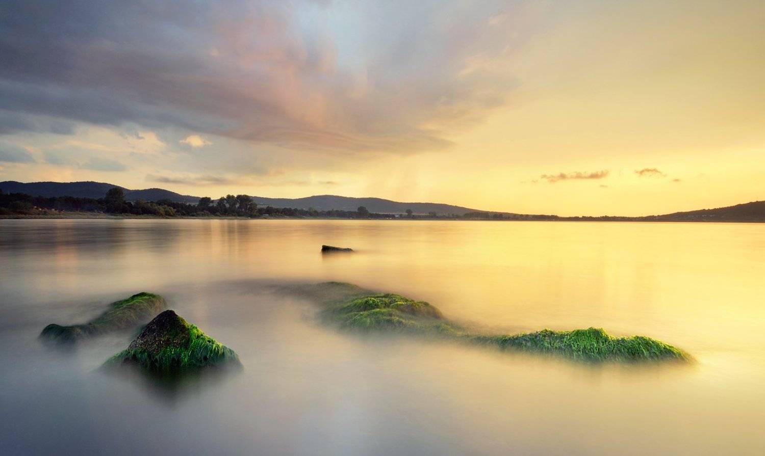 , Румен Паисиев