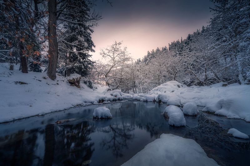 Light of Hope фото превью