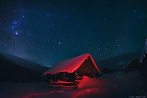 Татул новогодний