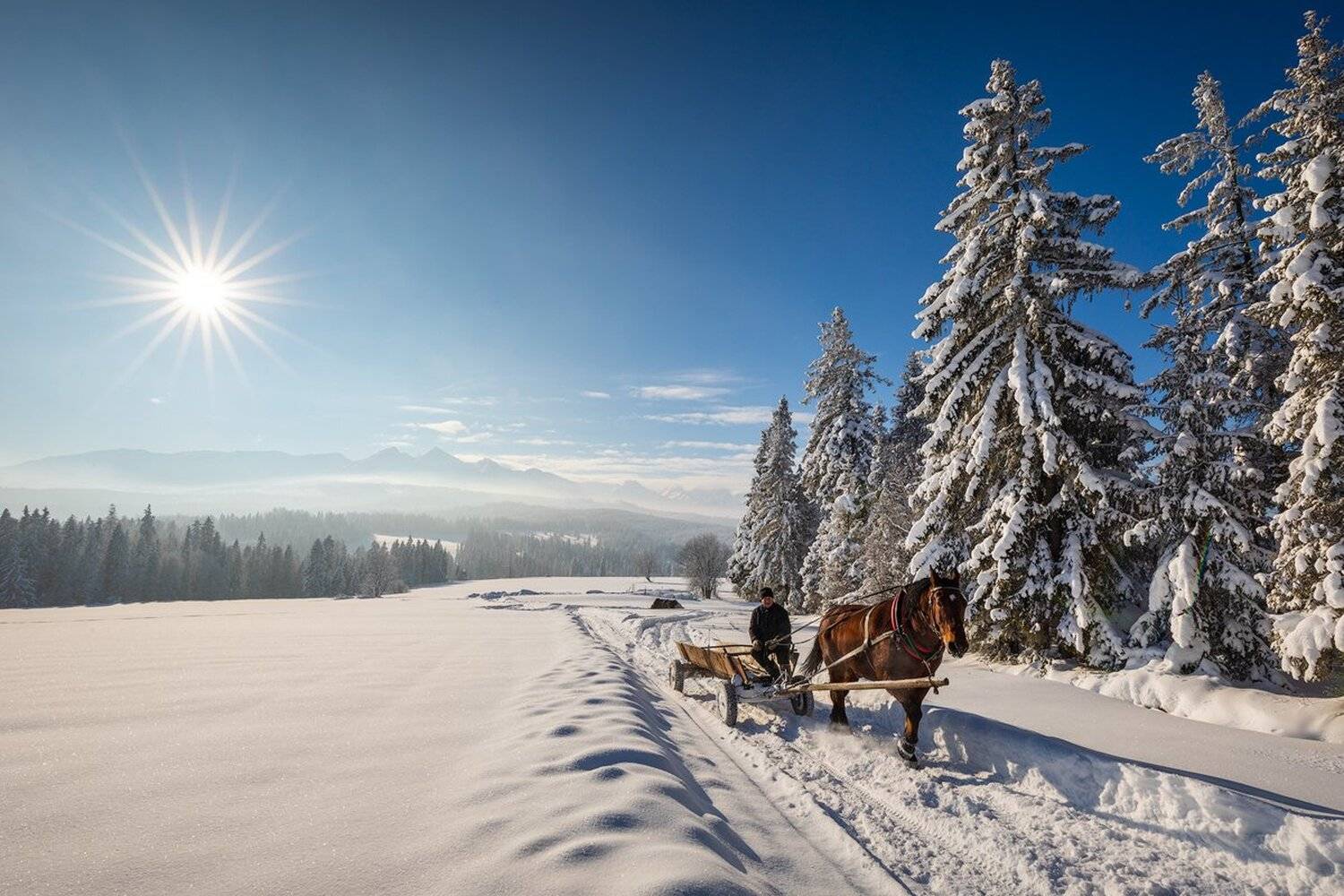 , Pawel Uchorczak