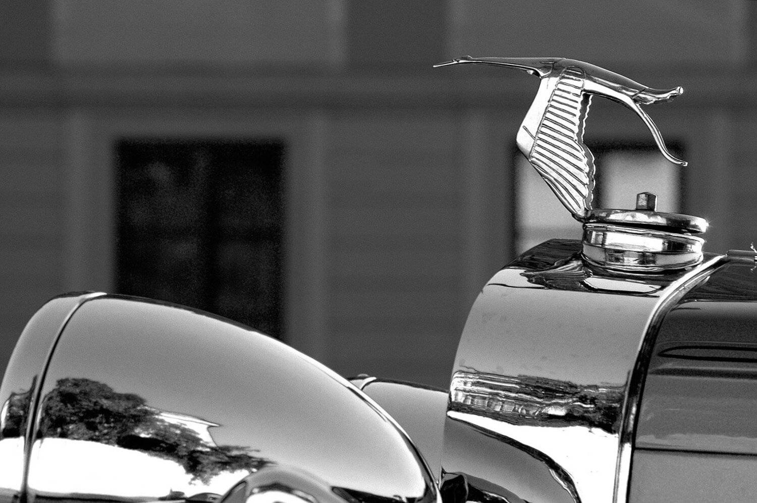 , Вадим Кухтин