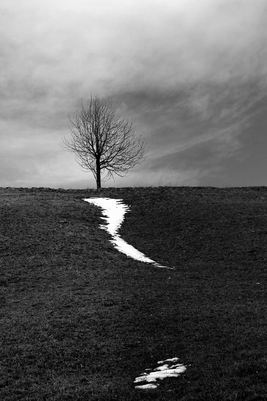 Spring is coming фото превью