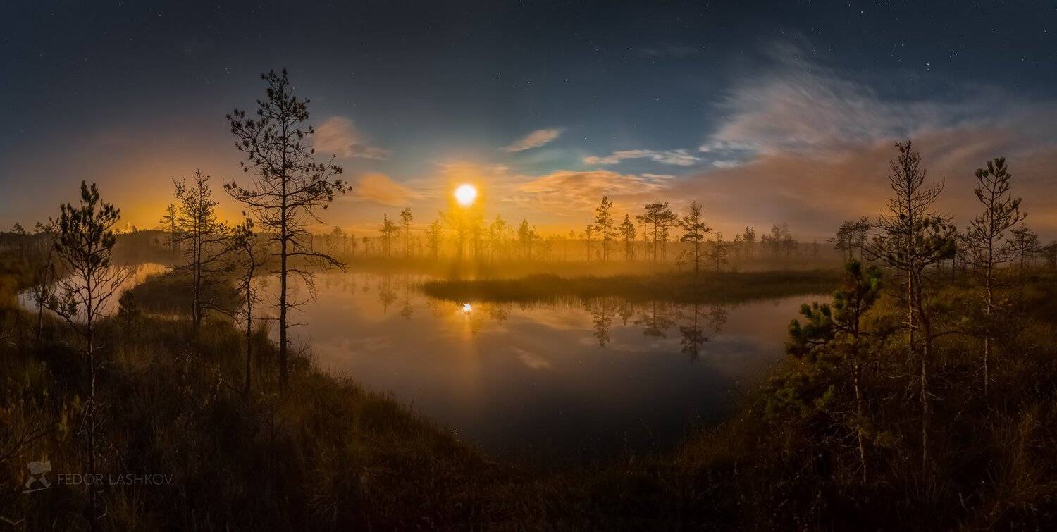 ночь, ленинградская область, лето, полнолунье, луна, сосна, болото, озеро, туман, отражение, звёзды, Лашков Фёдор