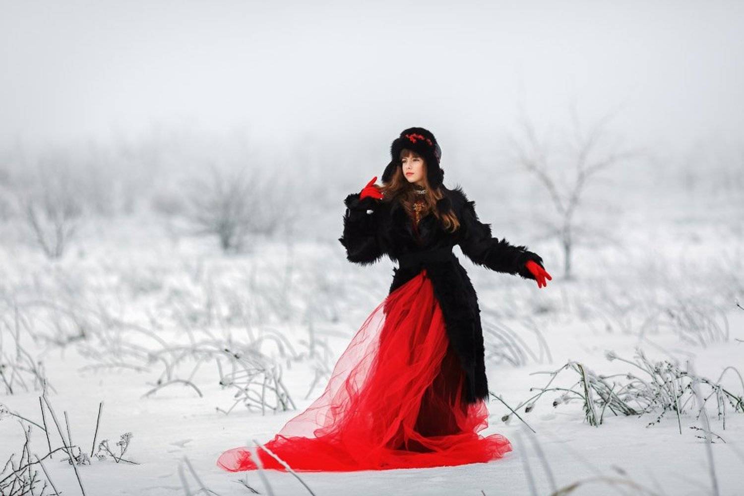 красное, черное, белое, арт, художественный, зимний, мода, цвет,, Марина Кондратова