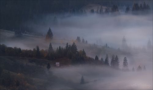 Там, где живут туманы...