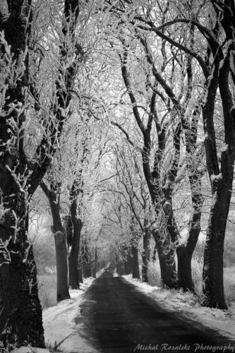 Winter alley