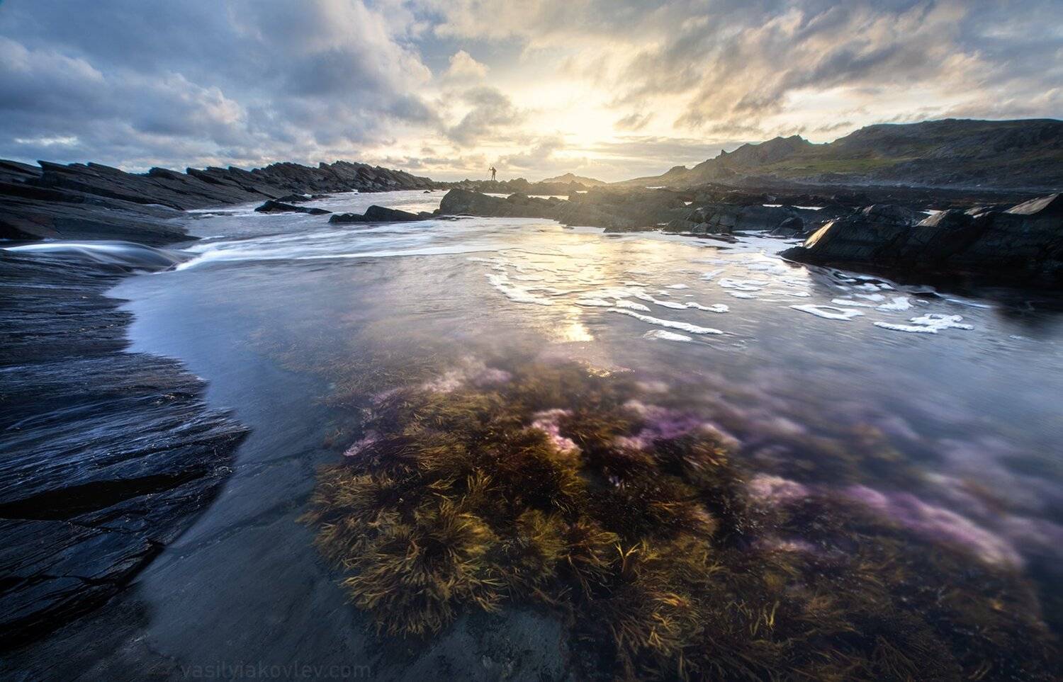 рыбачий, кольский, Василий Яковлев