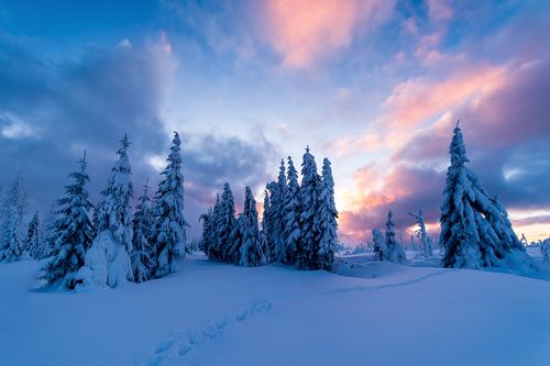 Frozen sunrise