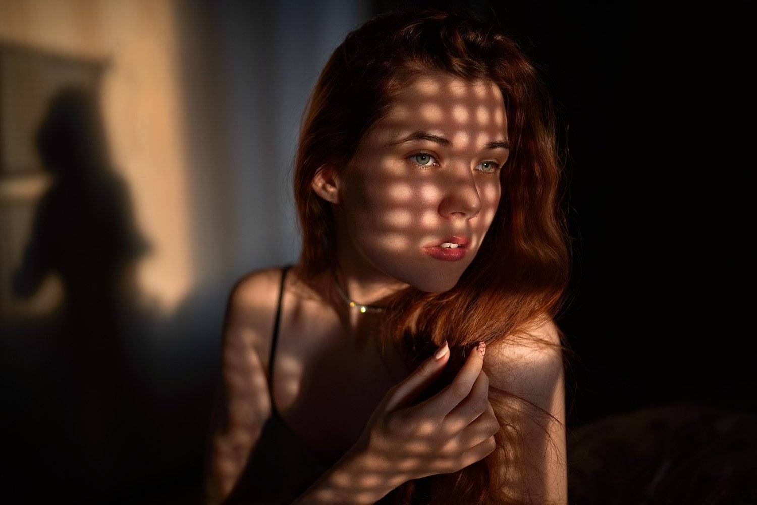 , Вячеслав Шишков