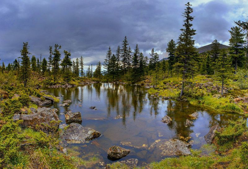 хакасия,борус В западных  Саянах. фото превью