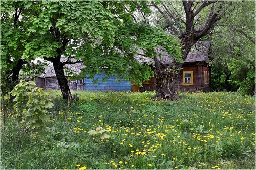 Цветочная поляна.